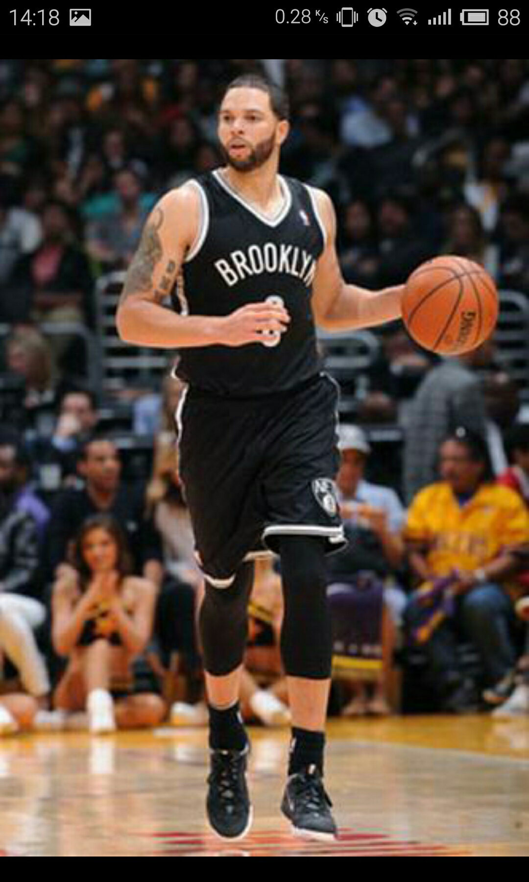 合理利用帕 合理利用帕